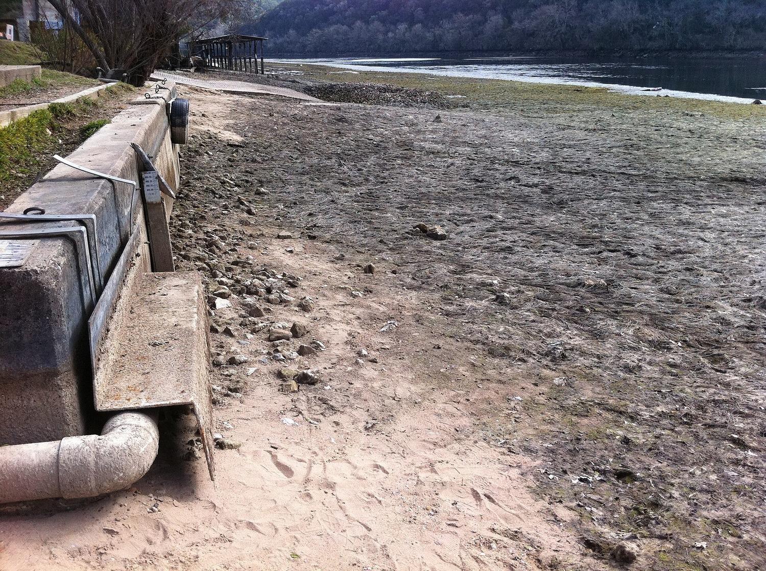 Exposed lakebed along a concrete bulkhead on Lake Austin during a past winter drawdown